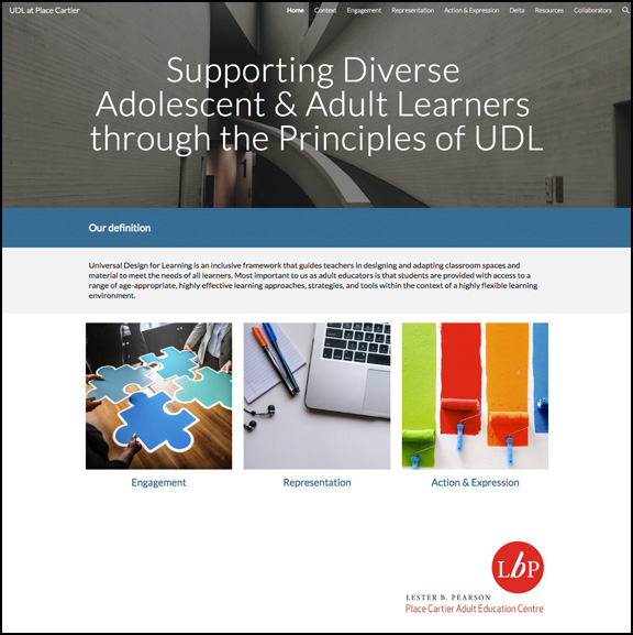 Supporting Diverse Adolescent & Adult Learners through the Principles of UDL